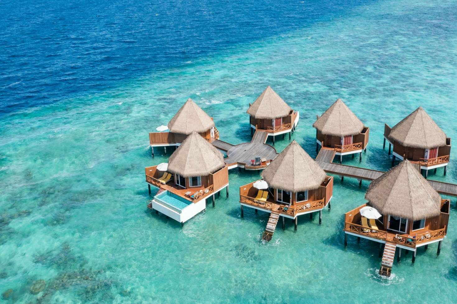 Contact SD Hotel and Travels